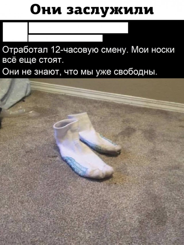 Весёлый полтишок 23.01.24