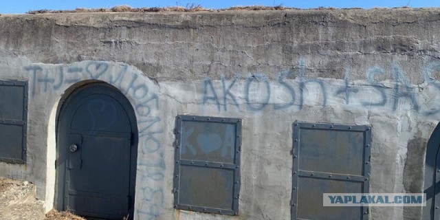 Уроженец Узбекистана разрисовал Владивостокскую крепость по ошибке