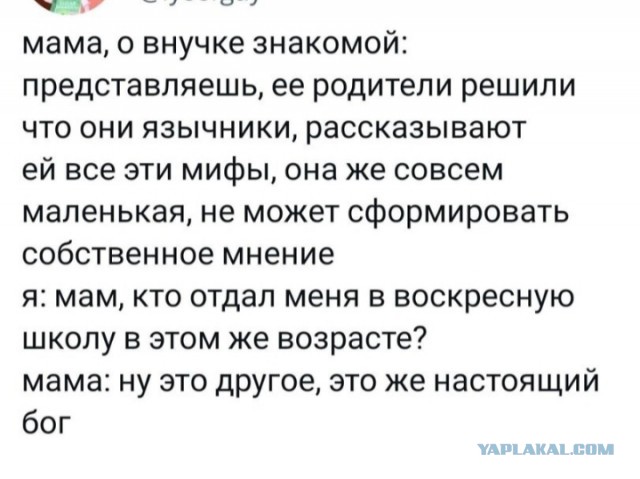 Так себе картинки 15.07.24