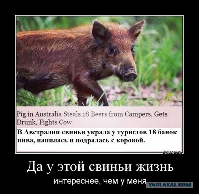 Российские туристки, которые подрались с турецкими полицейскими в аэропорту, теперь живут на улице в Турции