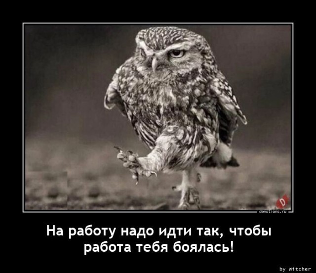 Картинки с надписями 12.08.24