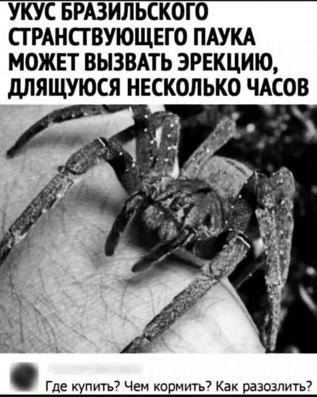 Веселые картинки к понедельнику (23.09)