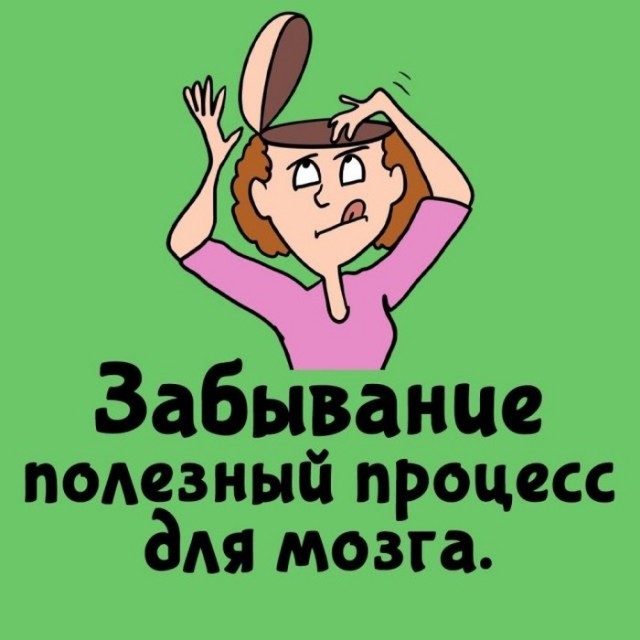 Подборка интересных фактов на все случаи жизни  07.10.24