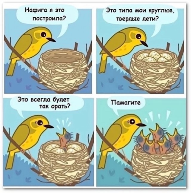 Так себе картинки 22.10.24