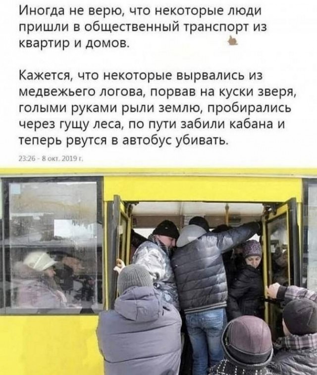 Веселые картинки к пятнице (08.11)