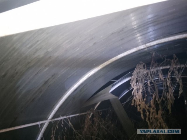Жизнь домашнего приюта для котеек 525
