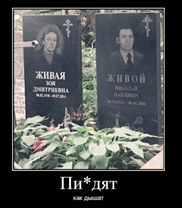 Так себе картинки 08.02.25