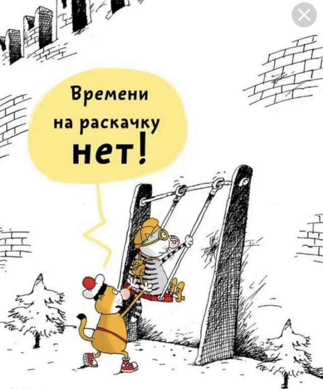Какой министр, такое и просвещение