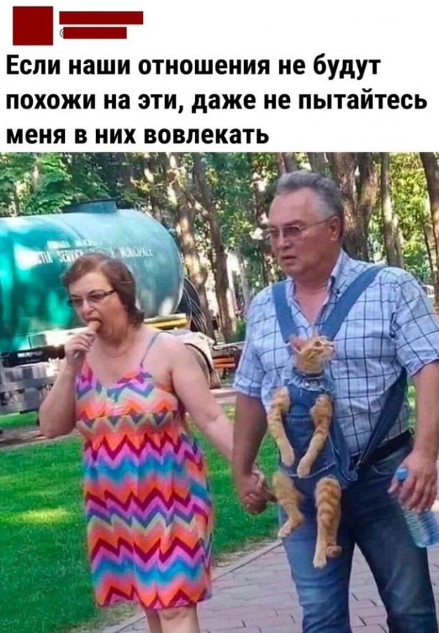 Так себе картинки 09.07.25