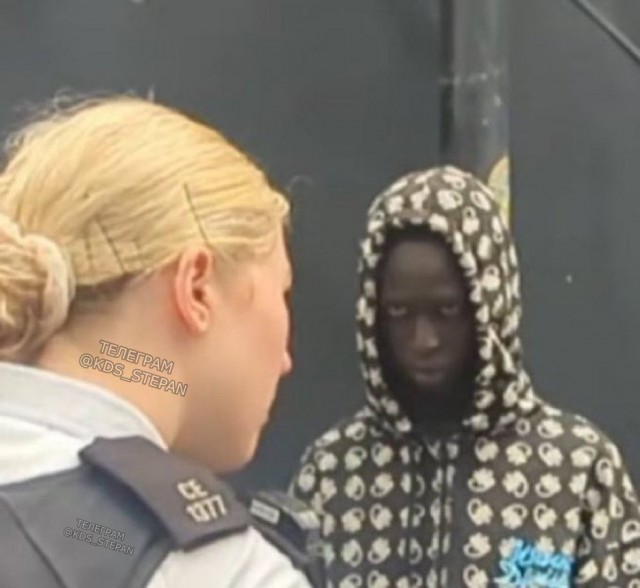 Всё по закону