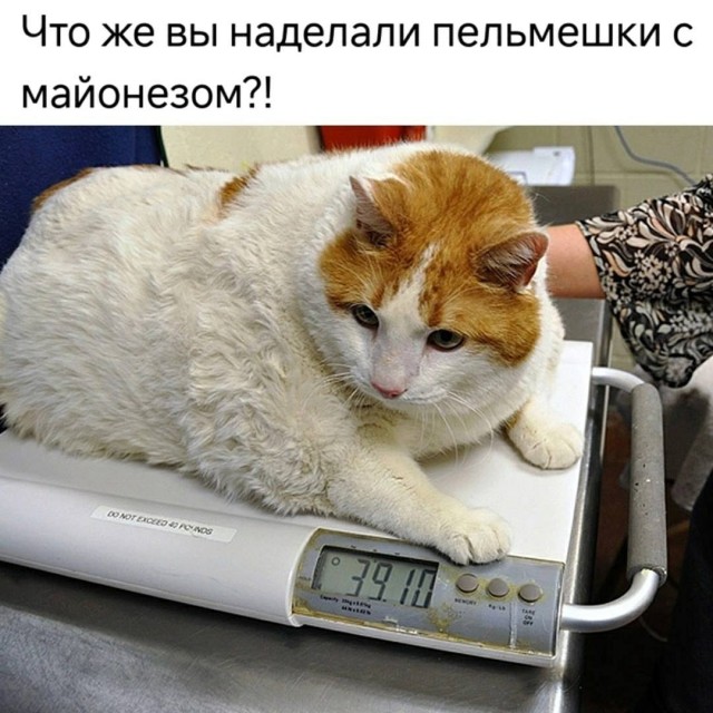 Так себе картинки 07.09.25