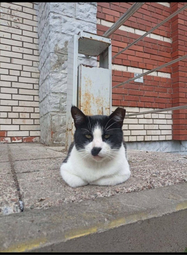 У Василия ДР