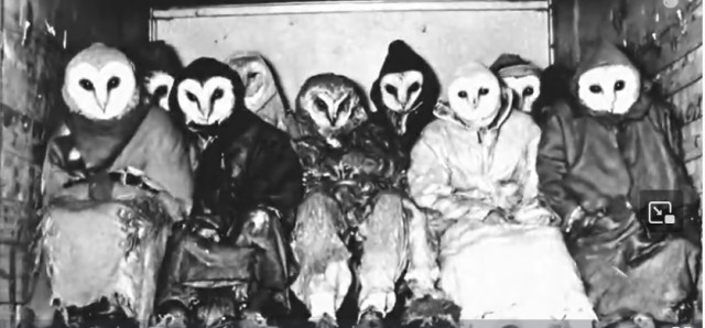 Кто это посмотрит,через 7 дней сам знает что будет..