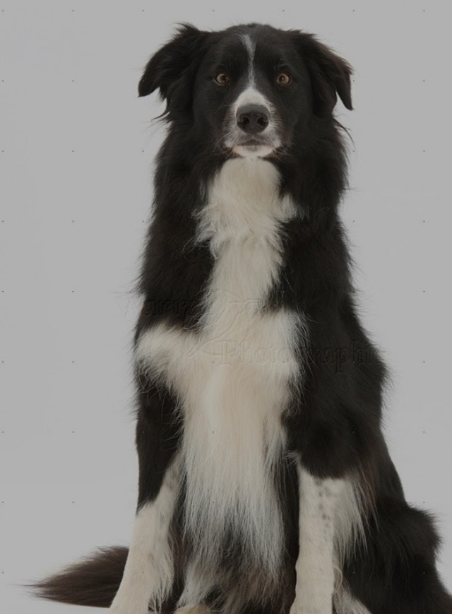 Капец они умные