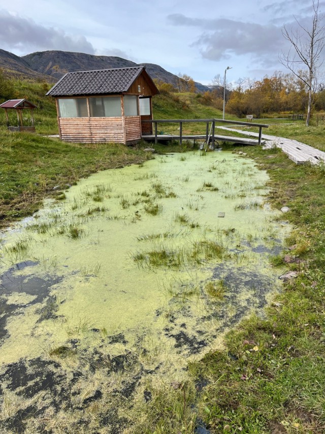 Внезапное посещение Камчатки