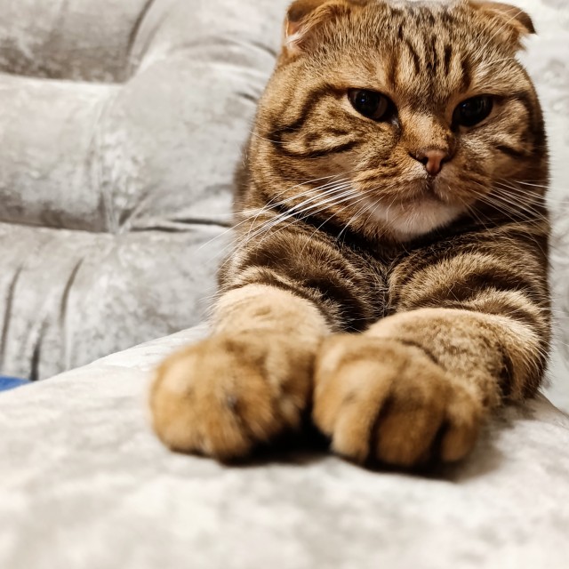 Кто чем кормит?