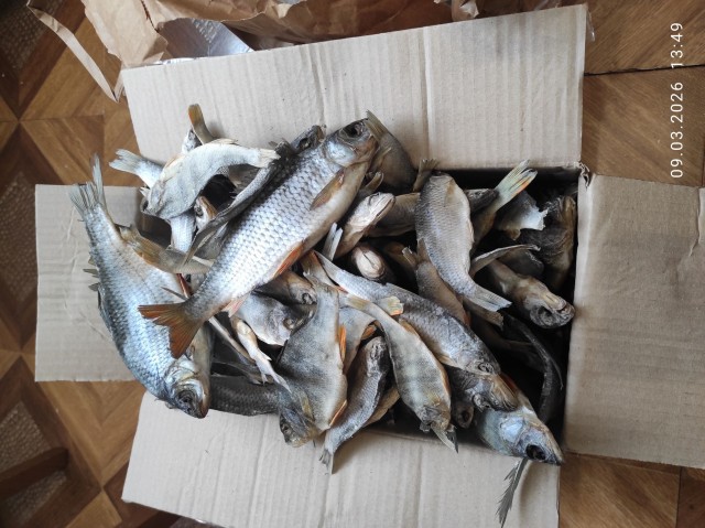 Суббота жеж?