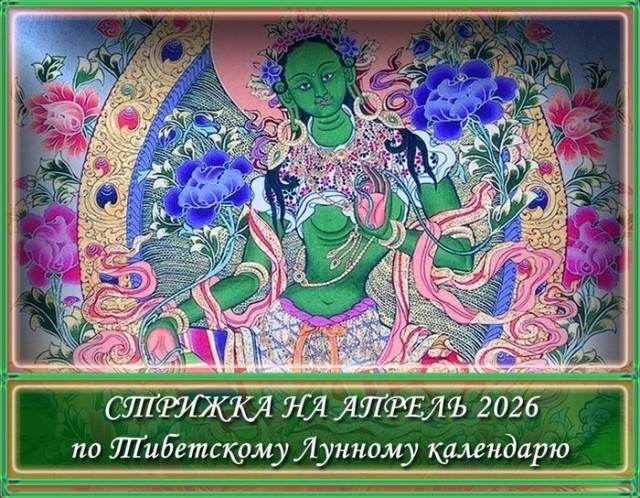 Всем стрижкозависимым