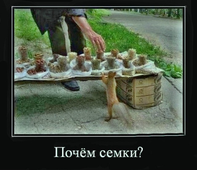 Среды картинки