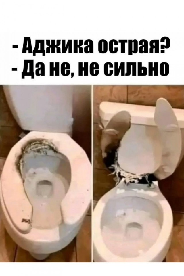 Картинки для деградации 236 (разной степени свежести)