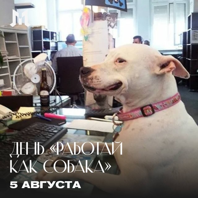 День «Работай как собака» отмечается сегодня