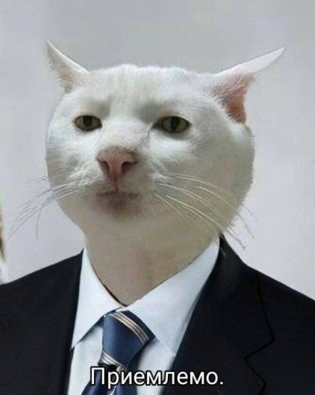 Гарфилд и лазанья