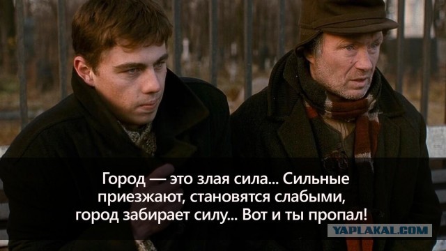 Приступ ярости случился у дамочки в Петербурге