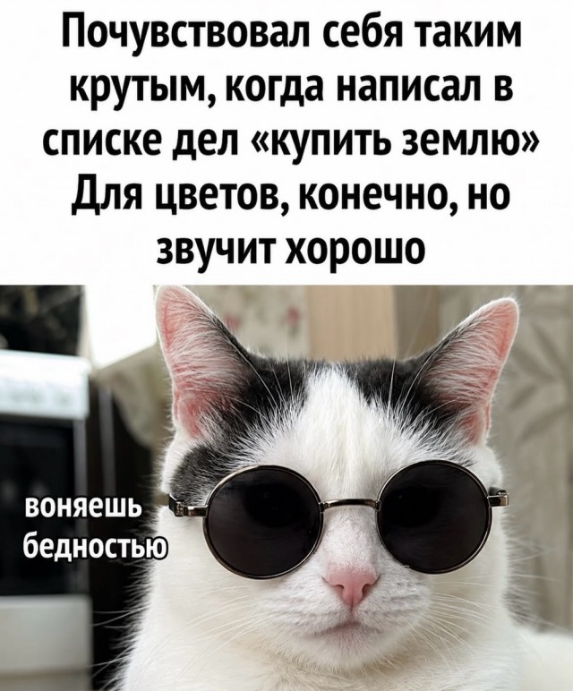 Веселое настроение в картинках 17.08.26