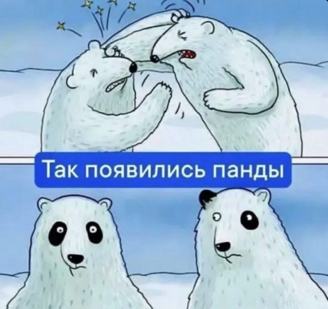 Картинки для деградации 288 (разной степени свежести)