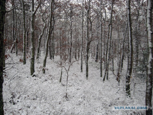 Деревенская Америка