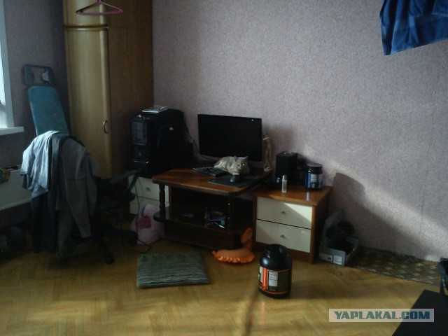 Котовторник 25.02.2014