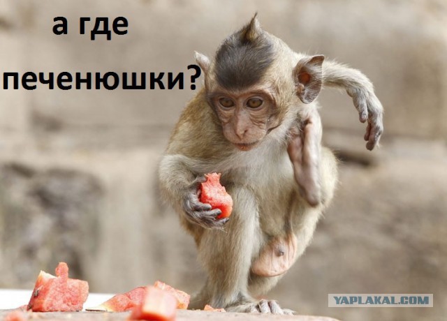 Санкции Евросоюза
