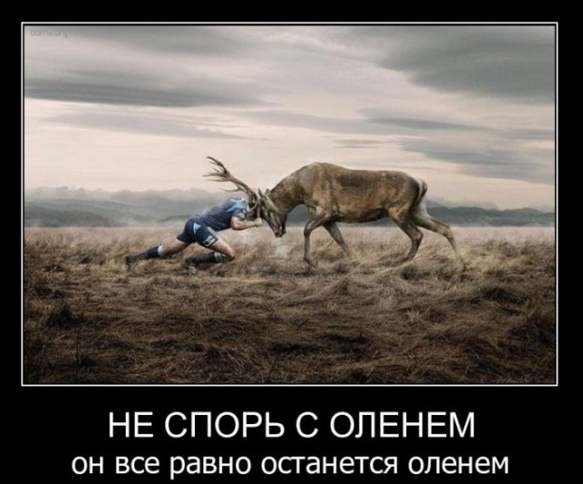 Демотиваторы.