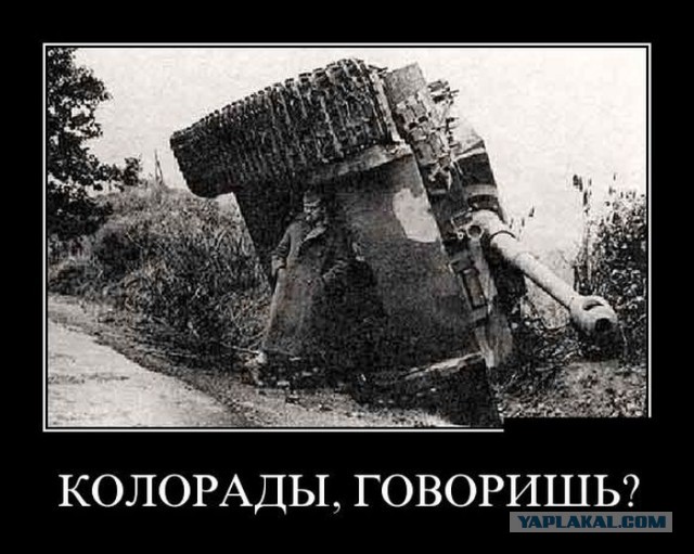 Пост отпетого "колорада"