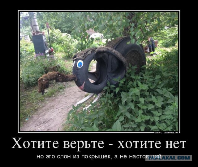 А чем вы занимаетесь в отпуске?