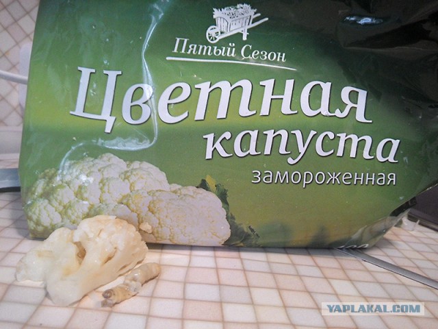 Сюрприз в цветной капусте