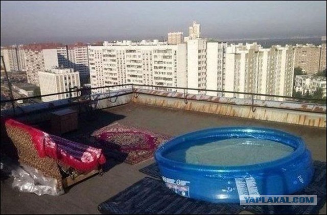 Смешные картинки