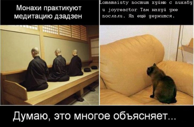 Мне 34 и я алкоголик