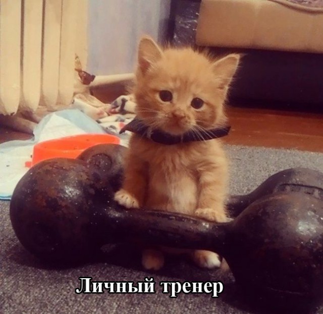 Пятница немного настроения