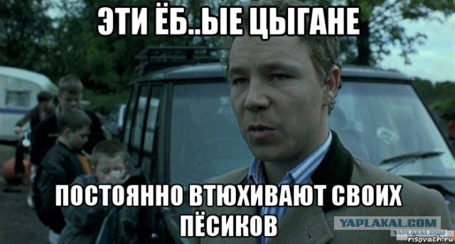 Друг человека