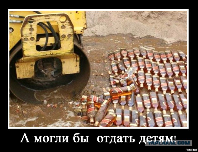 30 тонн польских грибов - всмятку!