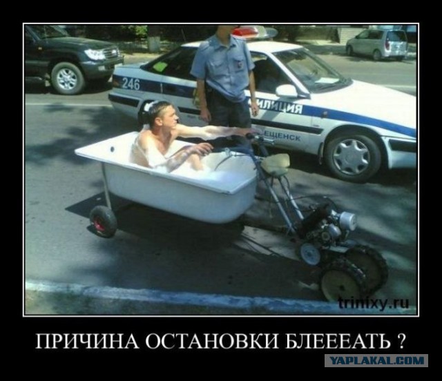 Веселые картинки