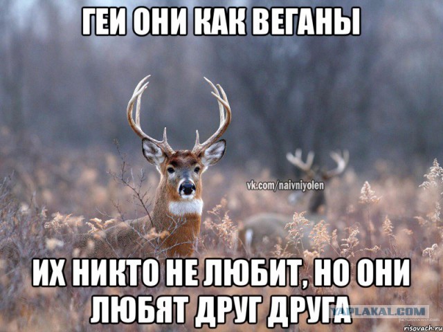 Веганы против мясоедов