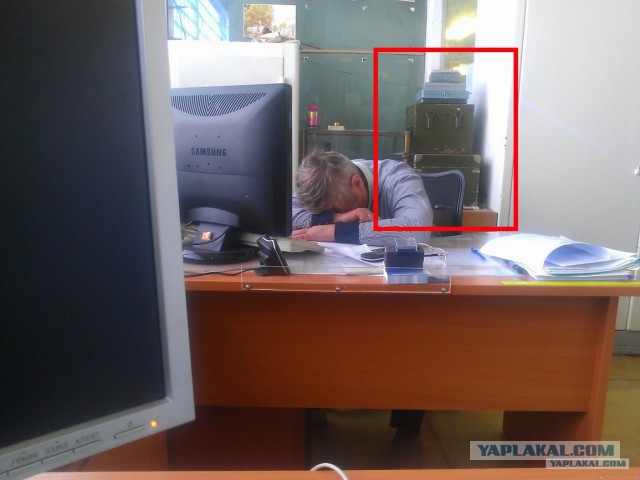 Рабочие будни моего начальника