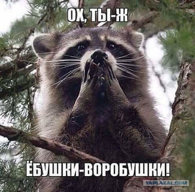 Картинки из сети