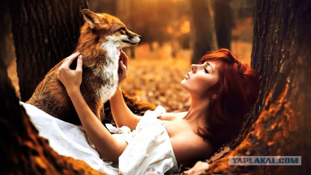 Подборка интересных и веселых картинок