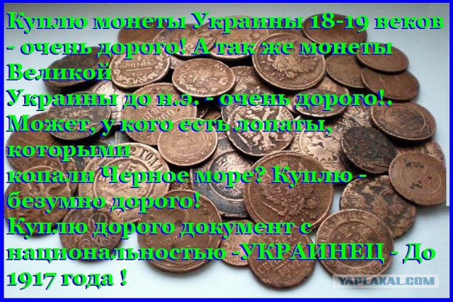 Турчинов: Украинцы имели государство задолго до возникновения Московского улуса