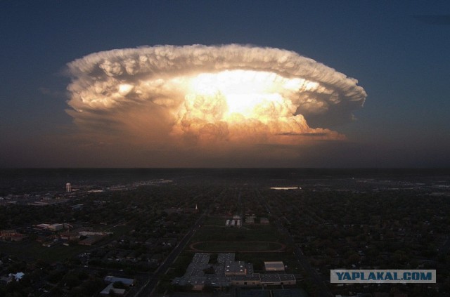 Подборка интересных и веселых картинок