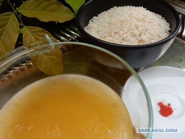 Фастфуд-пикник на день рождения ЯПа