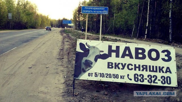 Картинки на понедельник